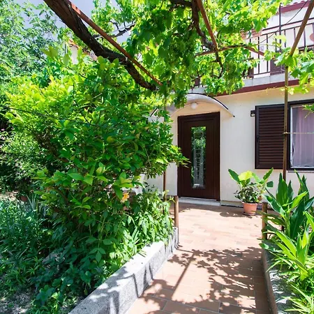 Barbat 4977a * Barbat na Rabu