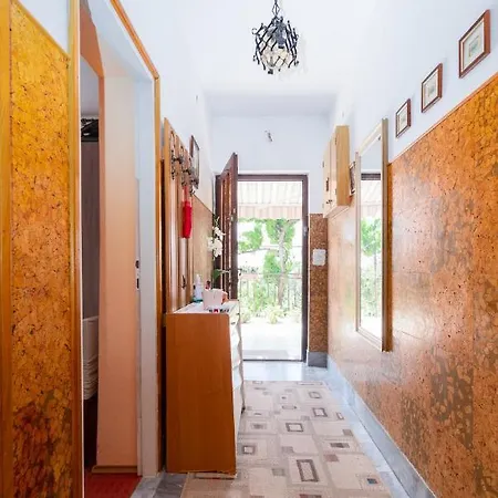 Barbat 4977a * Barbat na Rabu